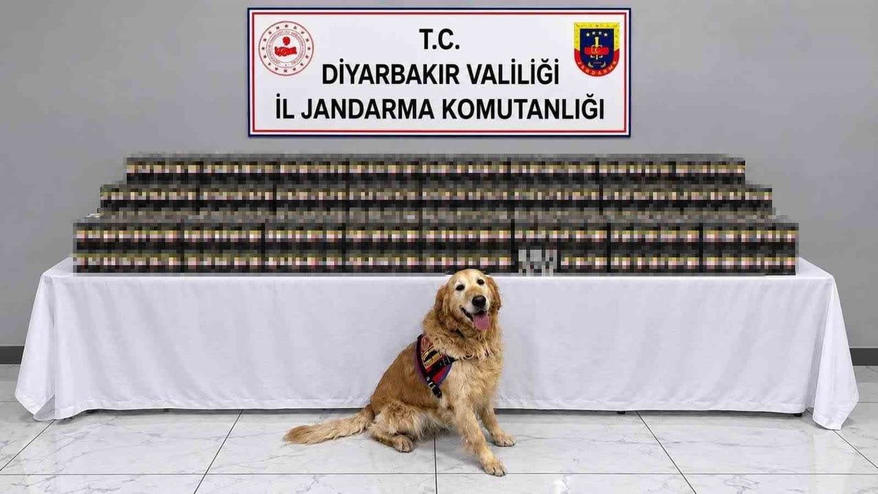 DİYARBAKIR’DA JANDARMA EKİPLERİNCE DÜZENLENEN OPERASYONLARDA 10 BİN 895 PAKET KAÇAK SİGARA ELE...