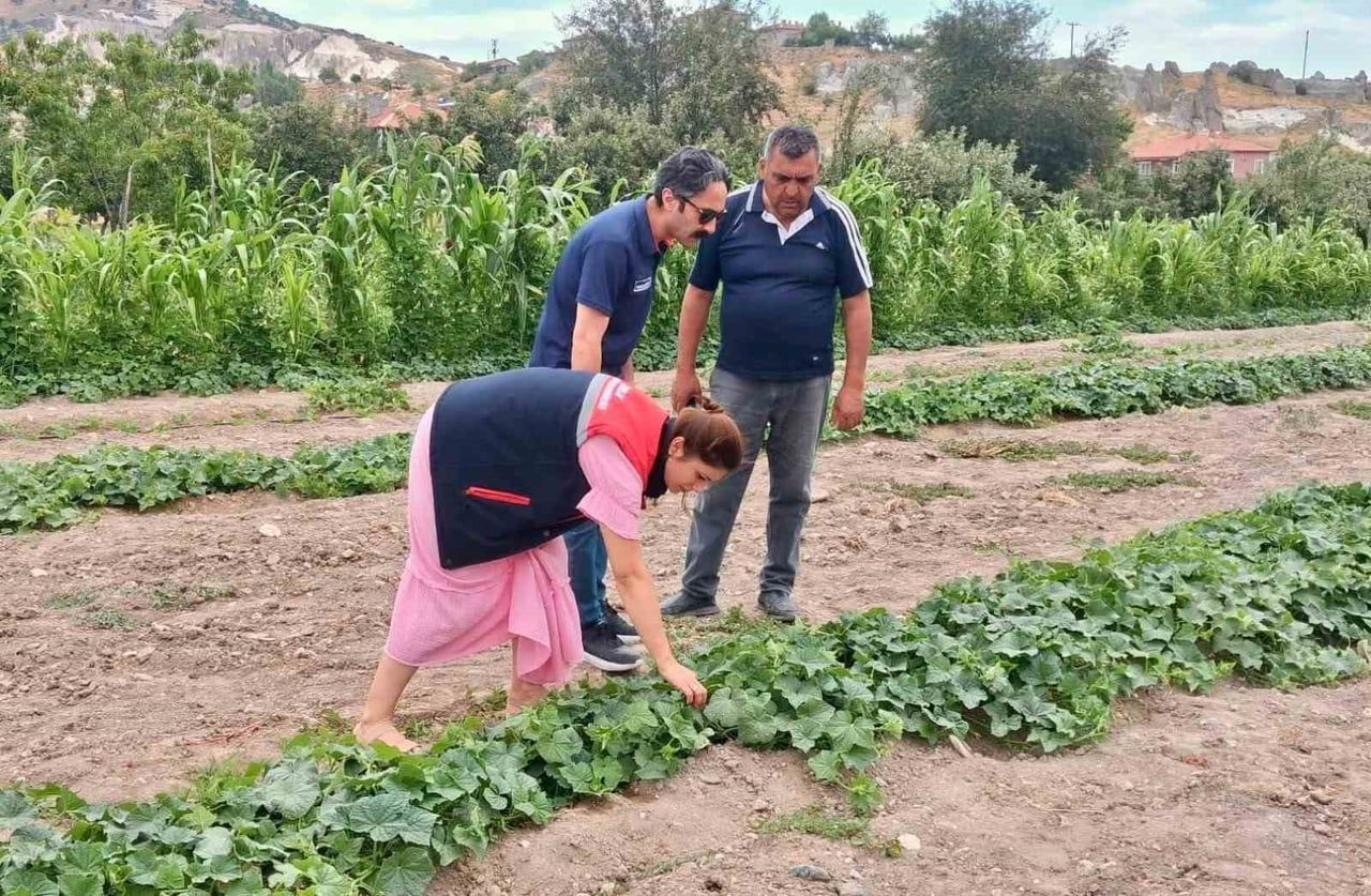 AFYONKARAHİSAR'DA BİTKİSEL ÜRETİMDE VERİM VE KALİTEYİ KORUMAK, HASTALIK VE ZARARLILARIN YAYILIMINI...