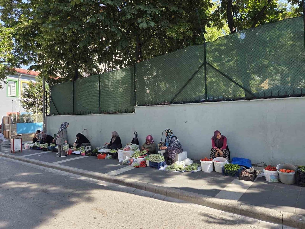 SAMSUN’DA EV KADINLARI, EKONOMİK GELİR SAĞLAMAK AMACIYLA KALDIRIM ÜZERİNE KURDUKLARI PAZARDA BAMYA...