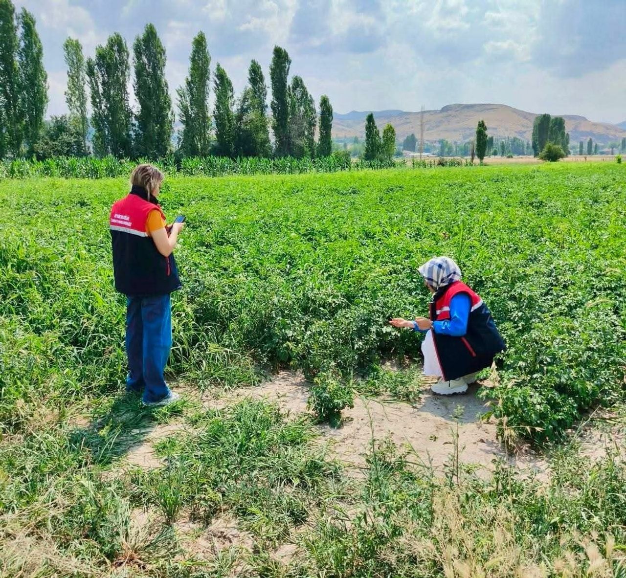 AFYONKARAHİSAR İL TARIM VE ORMAN MÜDÜRLÜĞÜ EKİPLERİ, TARIM ARAZİLERİNİN KORUNMASI VE...