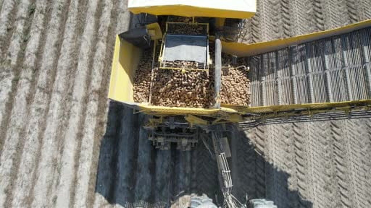 Konya, patates üretiminde Türkiye üretiminin yüzde 10,9'unu karşılıyor