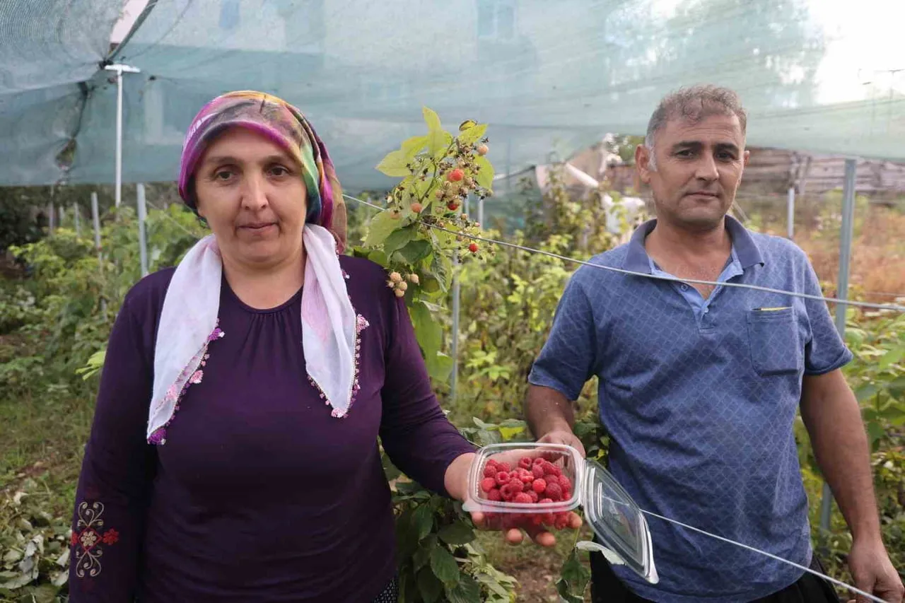 ADANA'NIN SAİMBEYLİ İLÇESİNDE İLK KEZ AHUDUDU BAHÇESİ KURAN KADIN ÜRETİCİ MELAHAT DURMUŞOĞLU...
