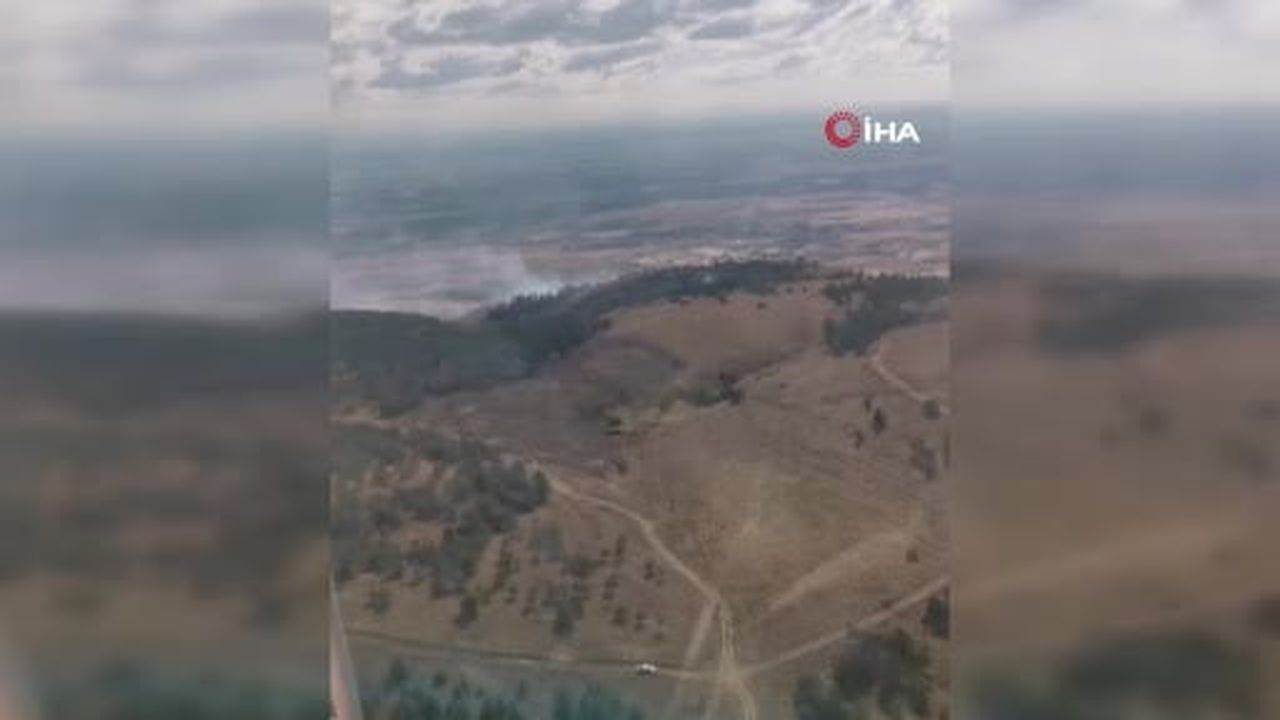 Eskişehir'de çıkan orman yangını kontrol altına alındı