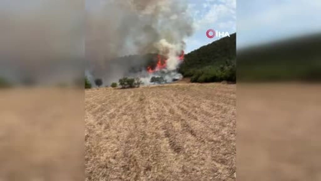 Sındırgı'da orman yangınına havadan ve karadan müdahale sürüyor