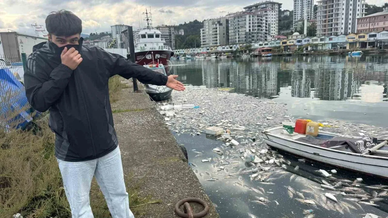 RİZE’NİN PAZAR İLÇESİNDE FAZLA AVLANIP EZİLEN PALAMUTLARIN TEKNELERCE DENİZE DÖKÜLMESİ, SAHİLİ ÖLÜ...