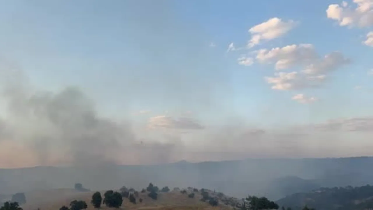 Uşak’ta meşelik ve makilik alanda yangın