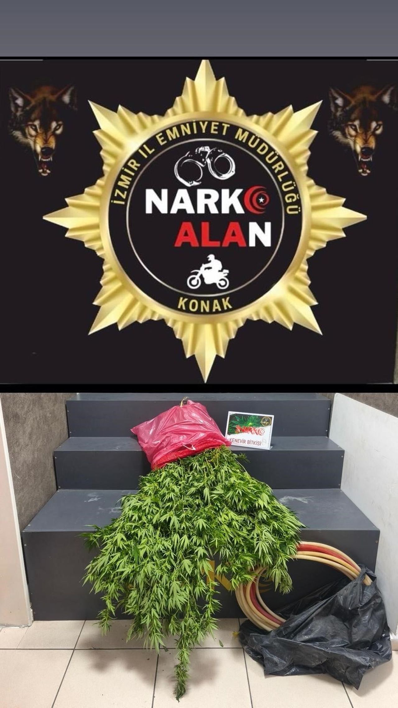 POLİS EKİPLERİ TARAFINDAN BİR ADRESE DÜZENLENEN UYUŞTURUCU OPERASYONUNDA, BAHÇEYE EKİLİ HALDE 40...