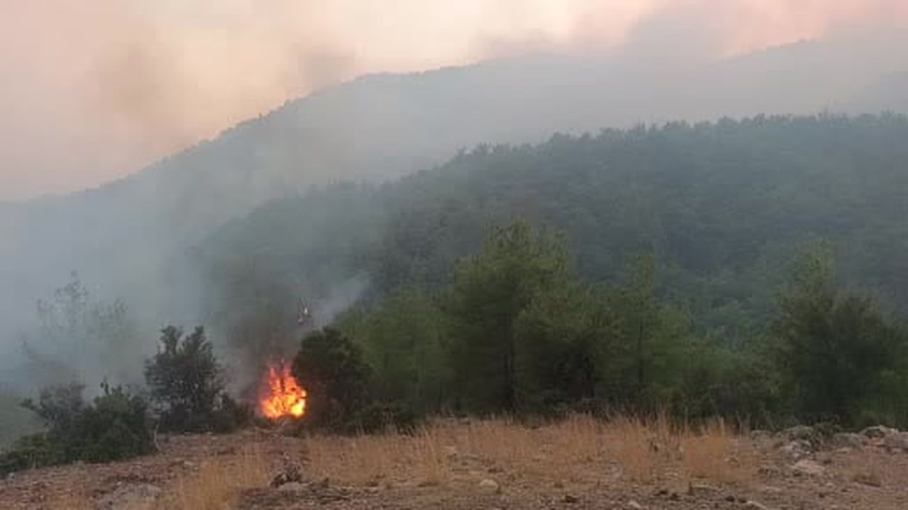 Alevler yerleşim yerine kadar yaklaştı, ekipler önledi