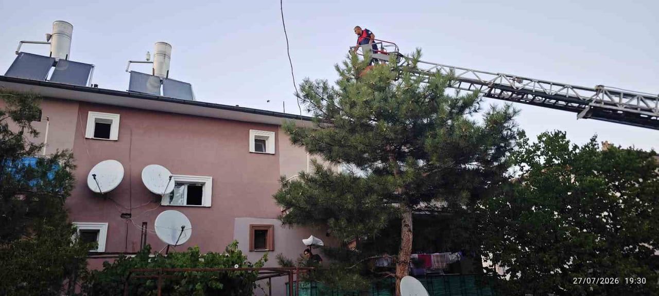 APARTMAN ÇATISINDA MAHSUR KALAN KEDİ İTFAİYE EKİPLERİNCE KURTARILDI