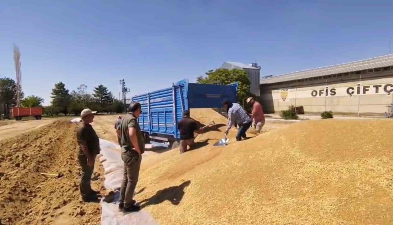 KONYA’DA TARIMSAL ÜRETİMİN YÜKSEK REKOLTEYLE ÖNE ÇIKTIĞI BİR HASAT SEZONU YAŞANIRKEN, TOPRAK...