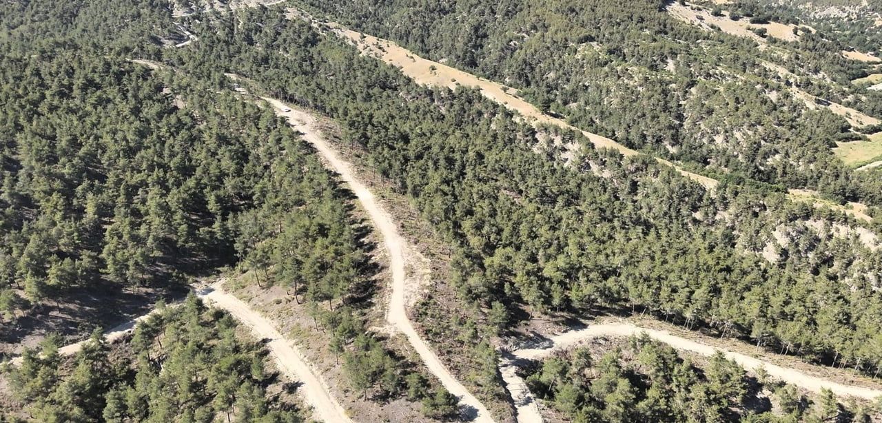 SAMSUN'DA ORMAN ÜRETİMİ VE GELİŞTİRME PROJESİ KAPSAMINDA ORMAN KÖYLÜLERİNE 1 MİLYAR 3 MİLYON 657...