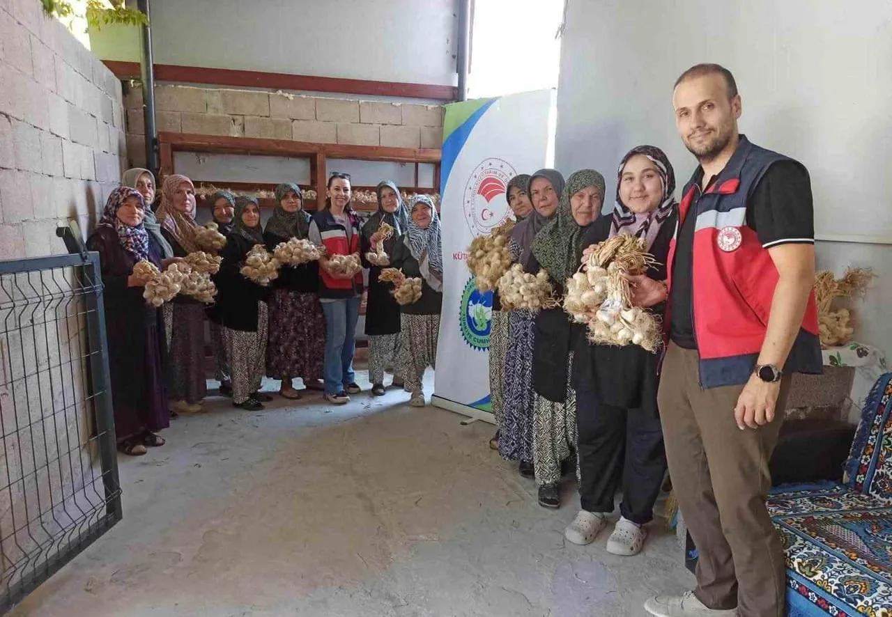 DOMANİÇ’TE SARIMSAK ÜRETİCİLERİNE ORGANİK TARIM DESTEĞİ