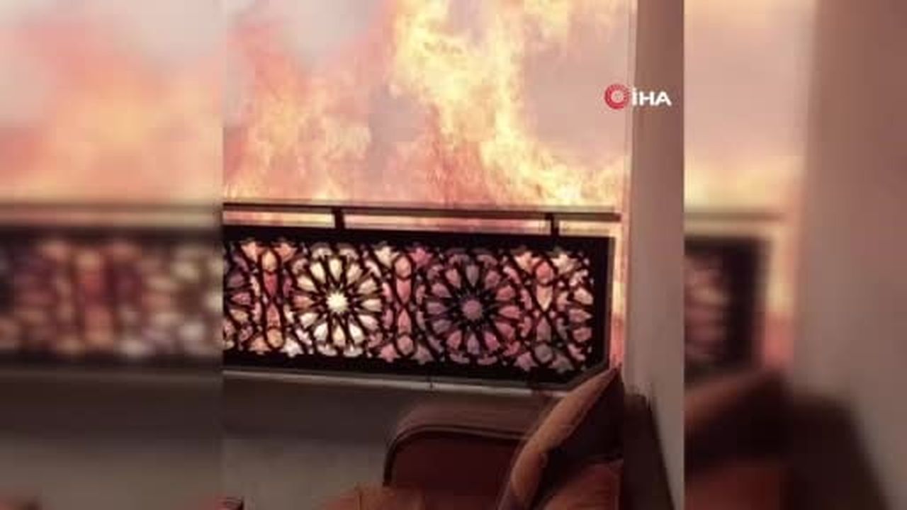 Cezayir’de çıkan orman yangınlarında 12 kişi hayatını kaybederken 54 kişi de yaralandı.