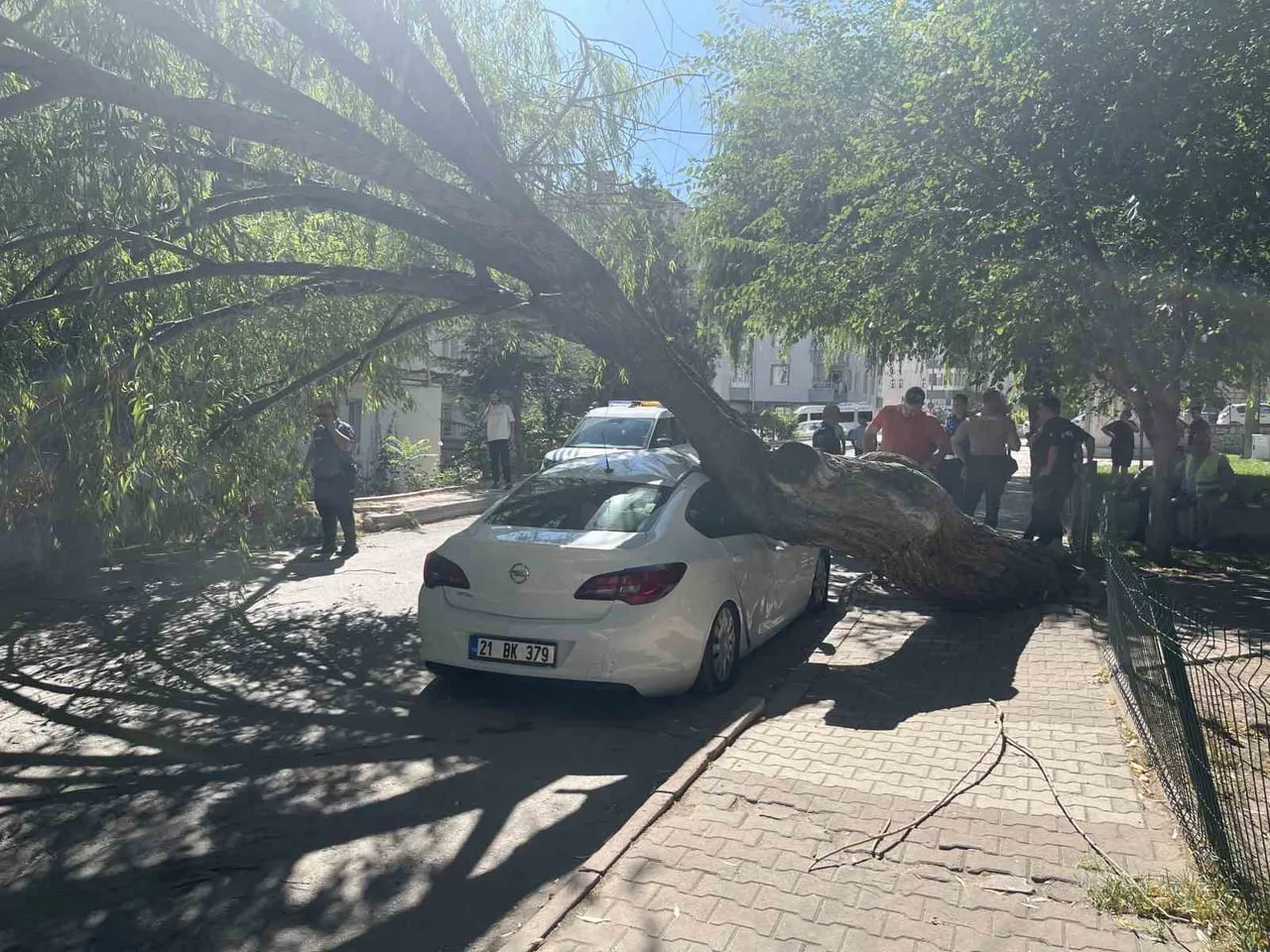 NİĞDE’DE AĞAÇ PARK HALİNDEKİ OTOMOBİLİN ÜZERİNE DEVRİLDİ