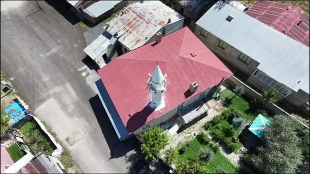 Camide kediyi tekmeleyen şahıs savcılıkta serbest bırakıldı