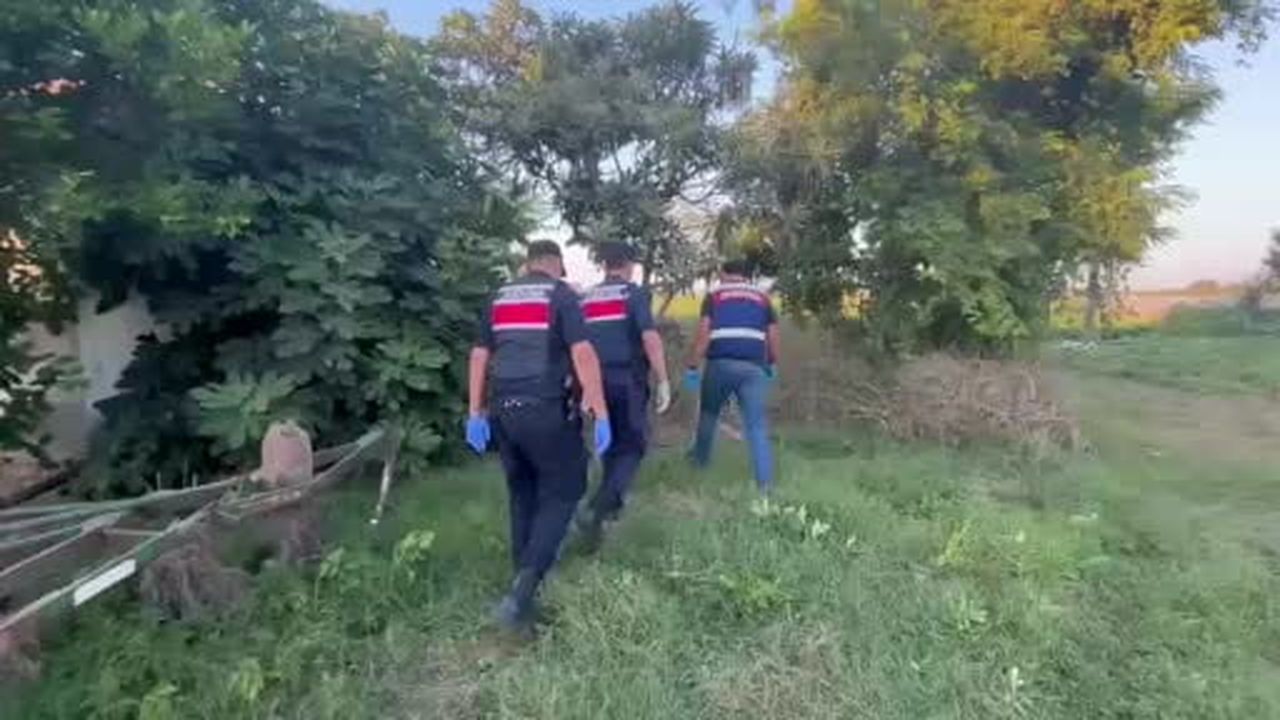 Bafra’da 63 kilo kubar esrar ele geçirildi