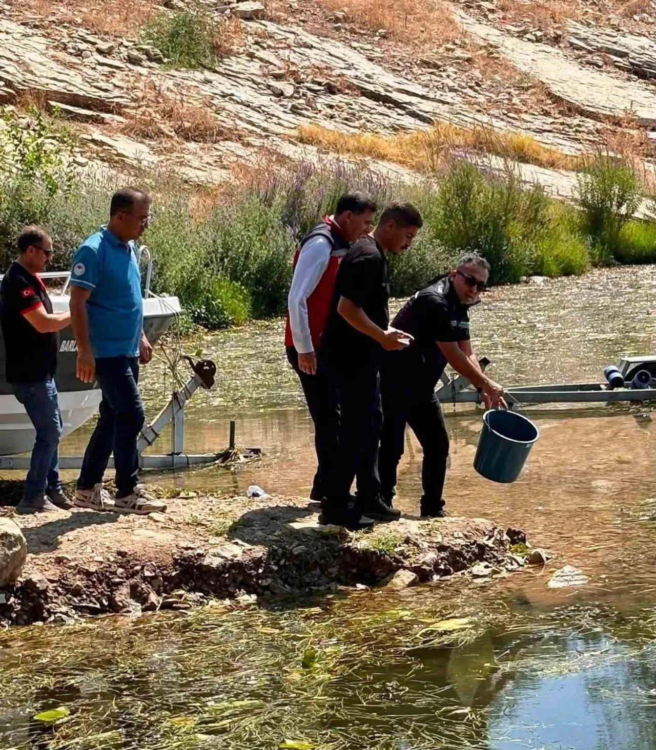 HATAY’DAKİ BARAJ VE GÖLETLERE SAZAN BALIĞI YAVRULARIN BIRAKILDI.