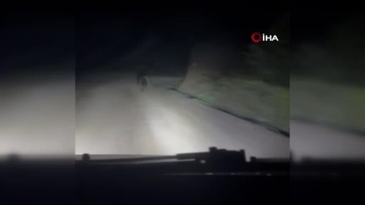 Yayla yolunda beklenmedik sürpriz
