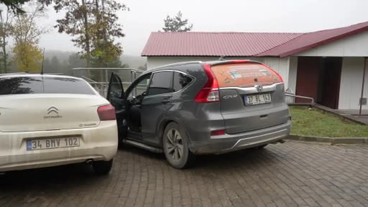 Ölmek üzere olan ineğin boğazından çıkartılan armut, üniversite öğrencilerine...