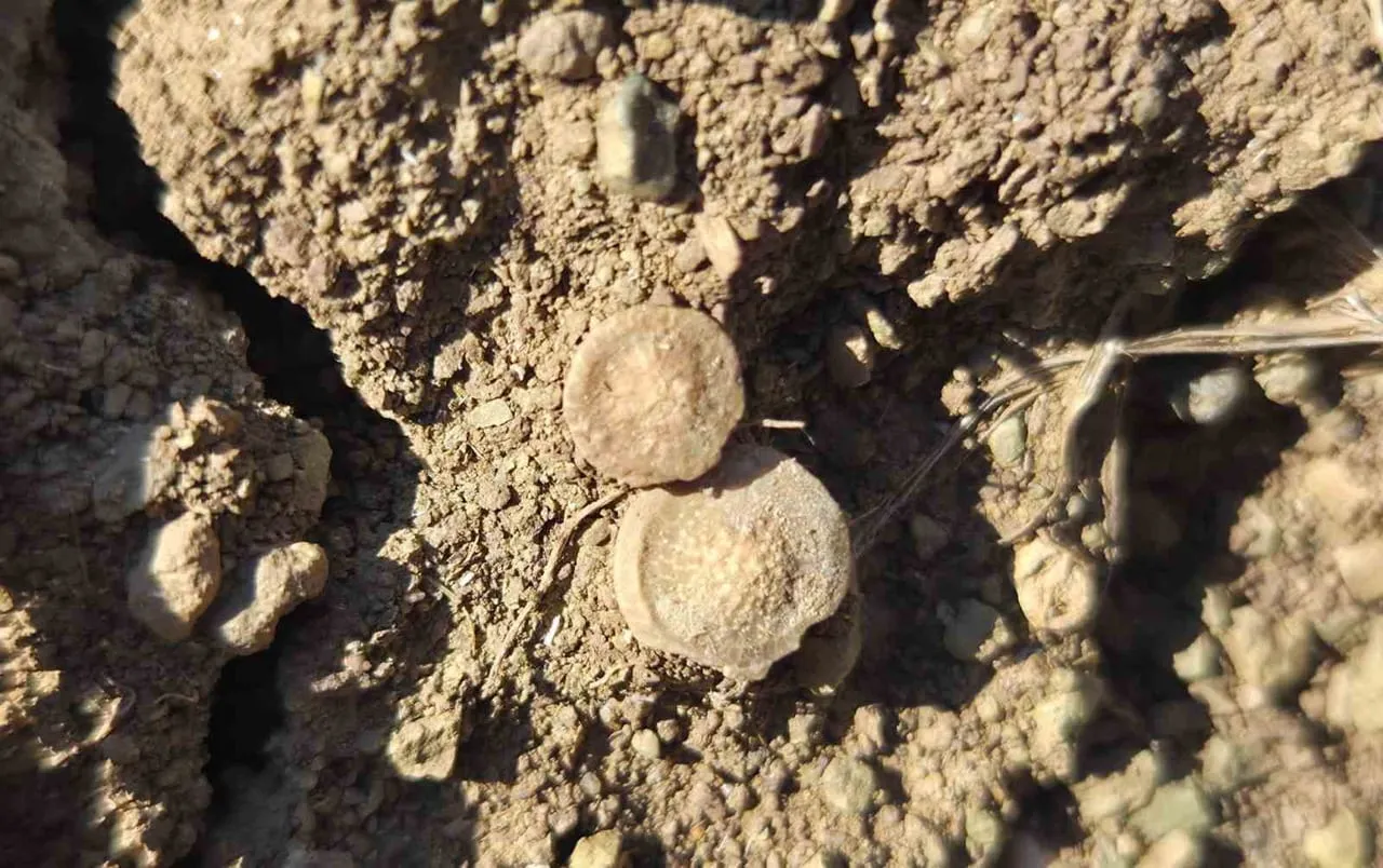 YOZGAT’IN SORGUN İLÇESİNE BAĞLI ARAPLI KASABASINDA YAŞAYAN VE HAYVANCILIKLA UĞRAŞAN LOKMAN ATIL...