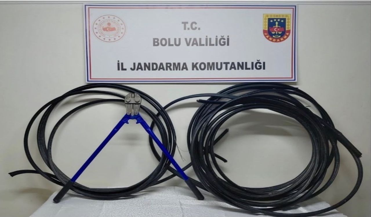 BOLU’DA, HABERLEŞME VE ENERJİ NAKİL KABLOSU HIRSIZLIĞI ŞÜPHELİSİ M.B., JASAT EKİPLERİNCE...