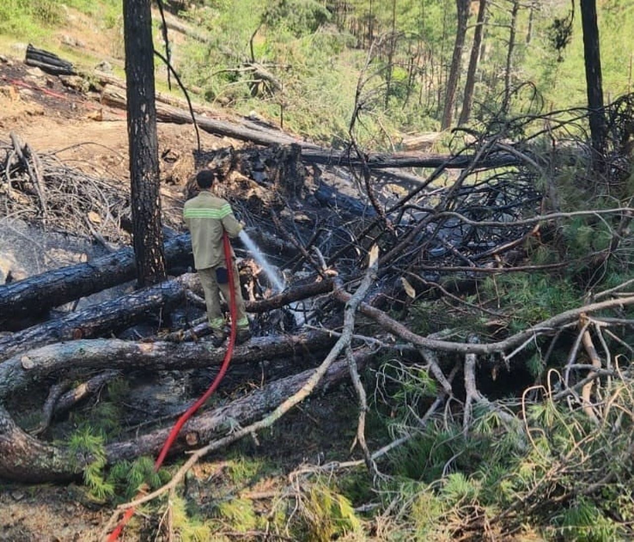 MUĞLA’NIN ULA İLÇESİNE BAĞLI YAYLASÖĞÜT MAHALLESİ TOKUŞ MEVKİNDE ORMANLIK ALANDA YANGIN ÇIKTI....