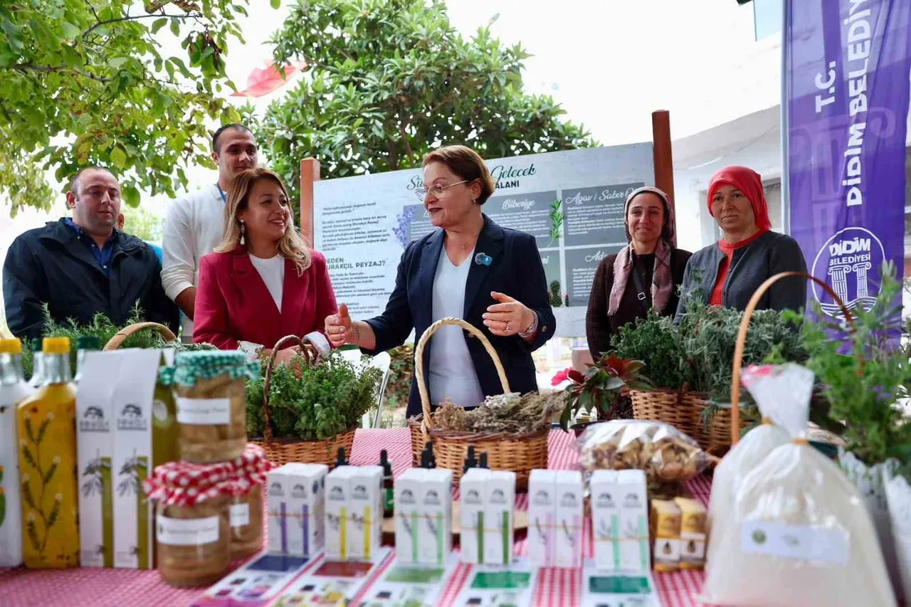 DİDİM BELEDİYESİ TARAFINDAN AKYENİKÖY’DE DÜZENLENEN DİDİM TARIM ŞENLİĞİ, İKİNCİ GÜNÜNDE SÖYLEŞİLER...
