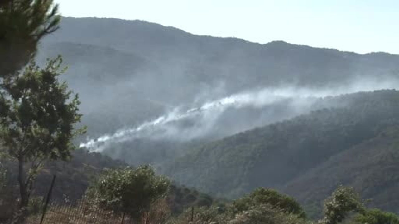 Gömeç'te orman yangınına müdahale sürüyor