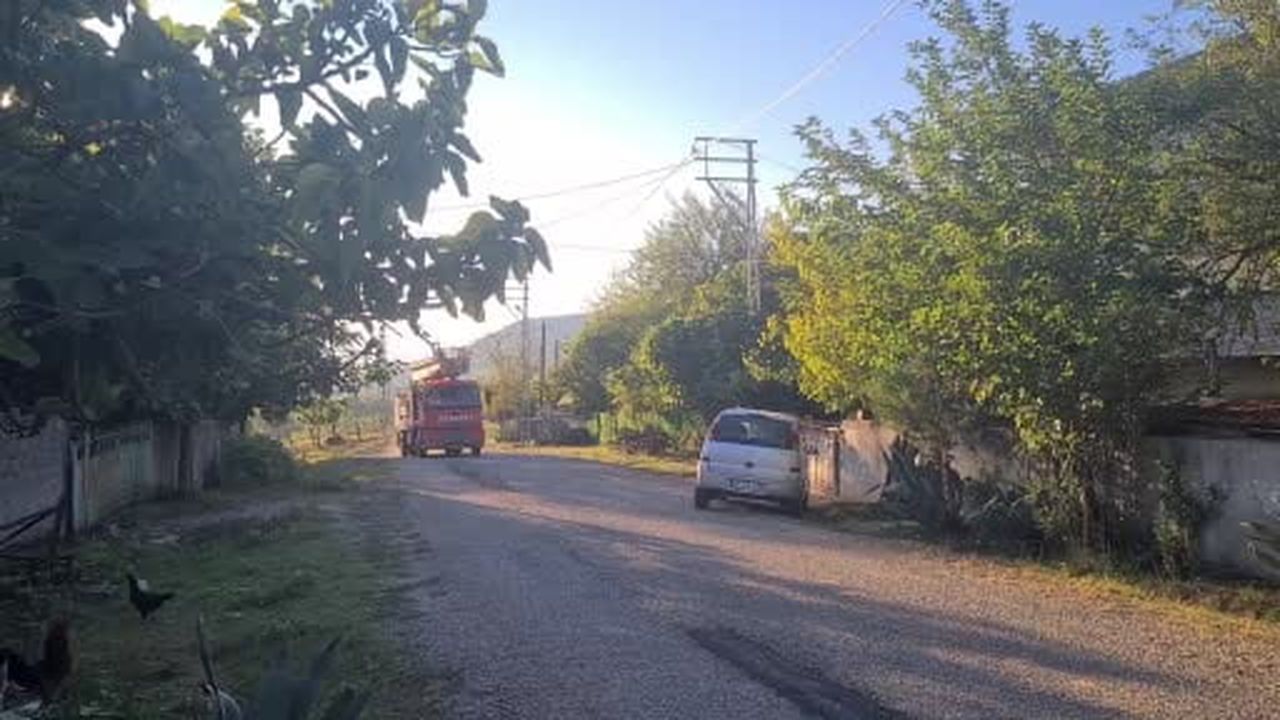 Çaycuma’da odunluk yangınına ilk müdahaleyi jandarma ekipleri yaptı