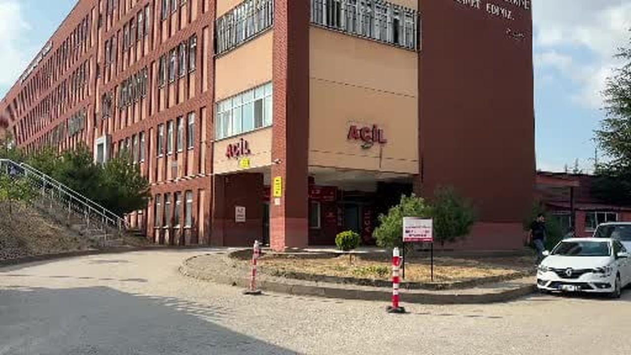 AK Parti Grup Başkanvekili Leyla Şahin Usta, TEM’de geçirdiği kazada yaralandı