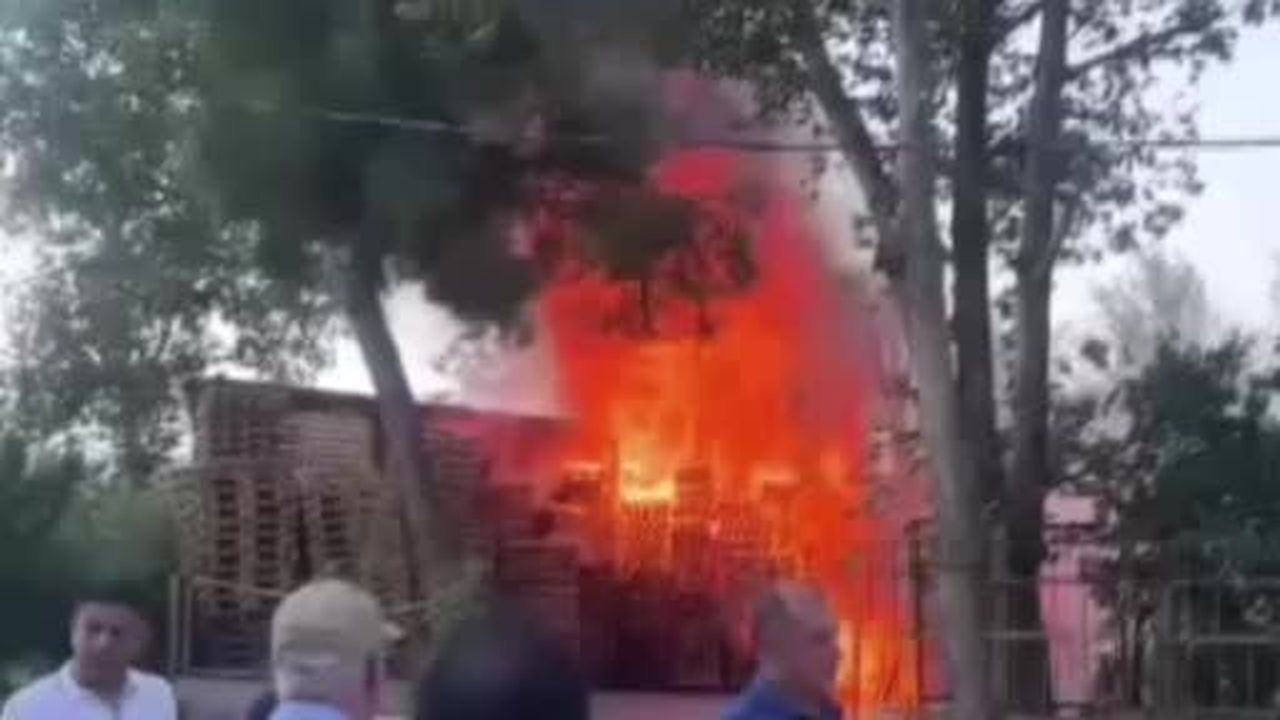 Palet fabrikasında korkutan yangın