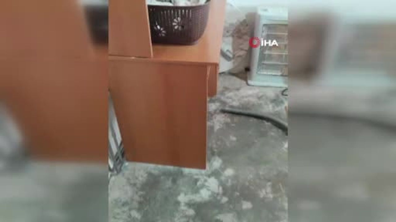 Evin yatak odasına giren 2 metrelik yılan böyle çığlık attırdı