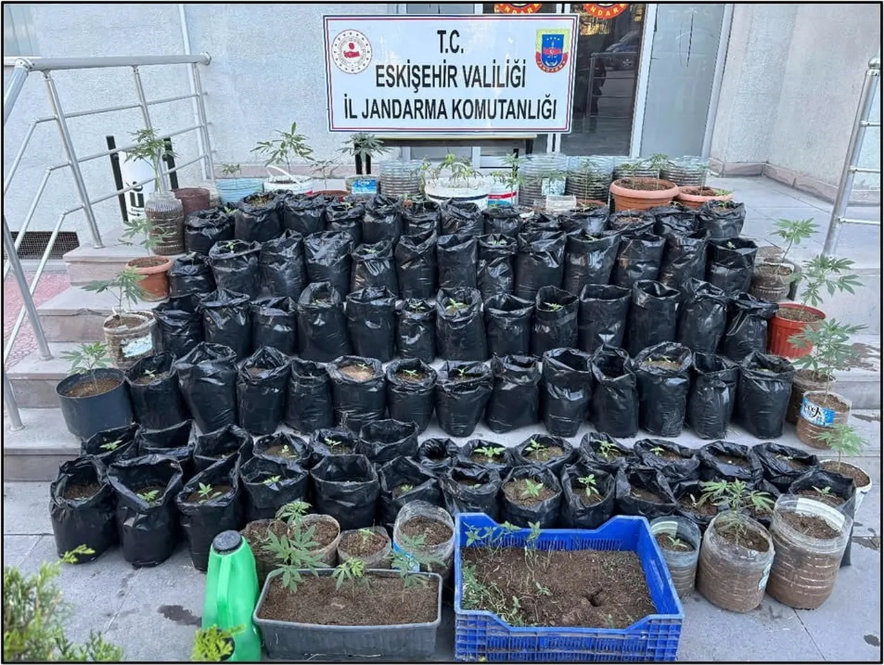 BİR ŞAHSA AİT ADRESTE YAPILAN ARAMADA, 48 GRAM ESRAR VE 161 KÖK KENEVİR BİTKİSİ ELE...