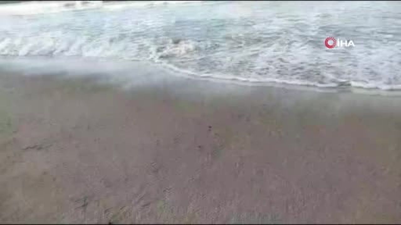 Sinop'ta sahilde İHA parçaları bulunduğu iddiası