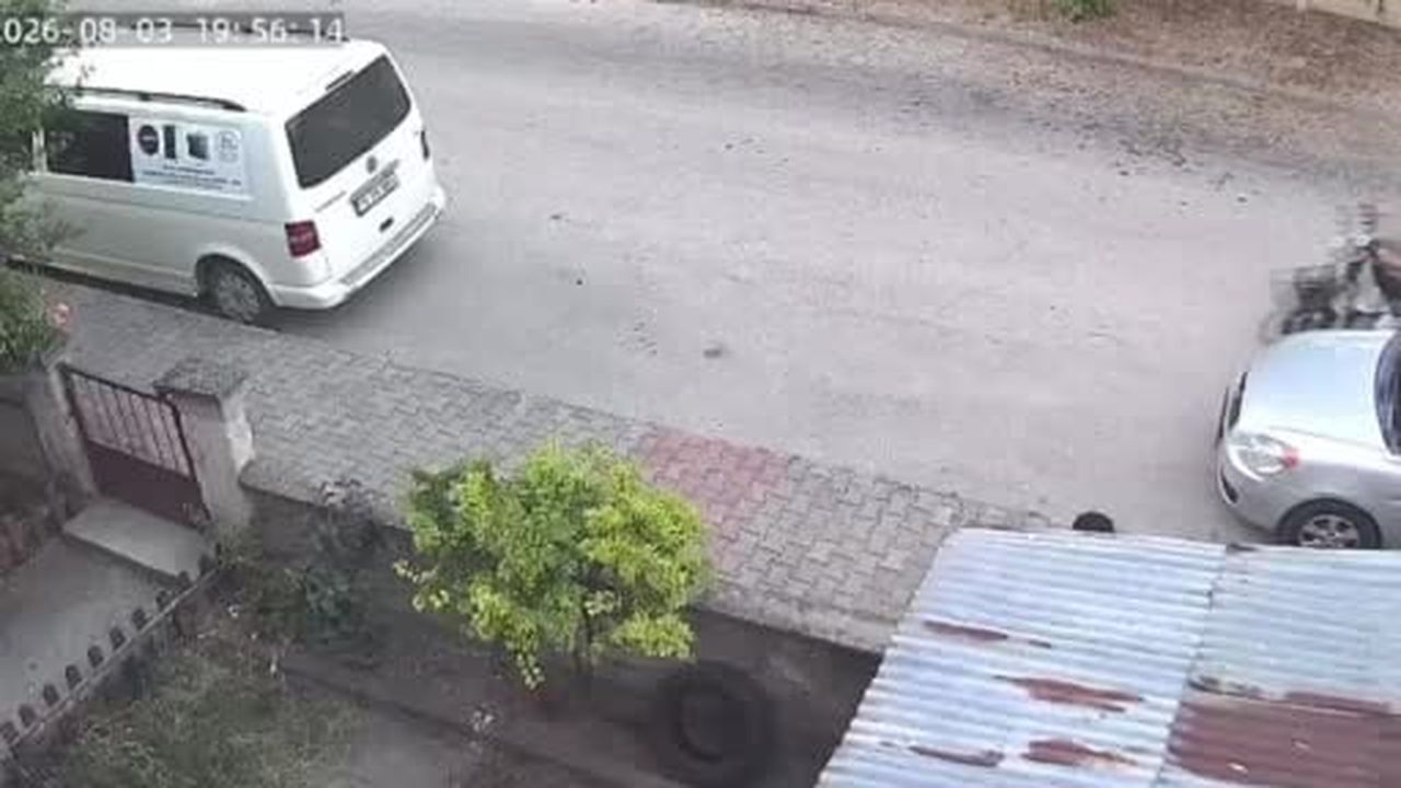 Yavru kediyi önce öpüp sonra boğan otizmli çocuk serbest bırakıldı