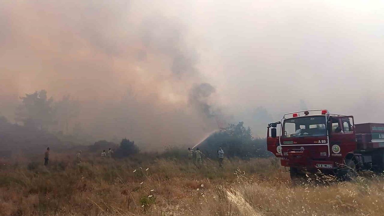 MUĞLA’NIN MENTEŞE İLÇESİNE BAĞLI YENİCE MAHALLESİ SINIRLARI İÇERİSİNDE ORMAN YANGINI...
