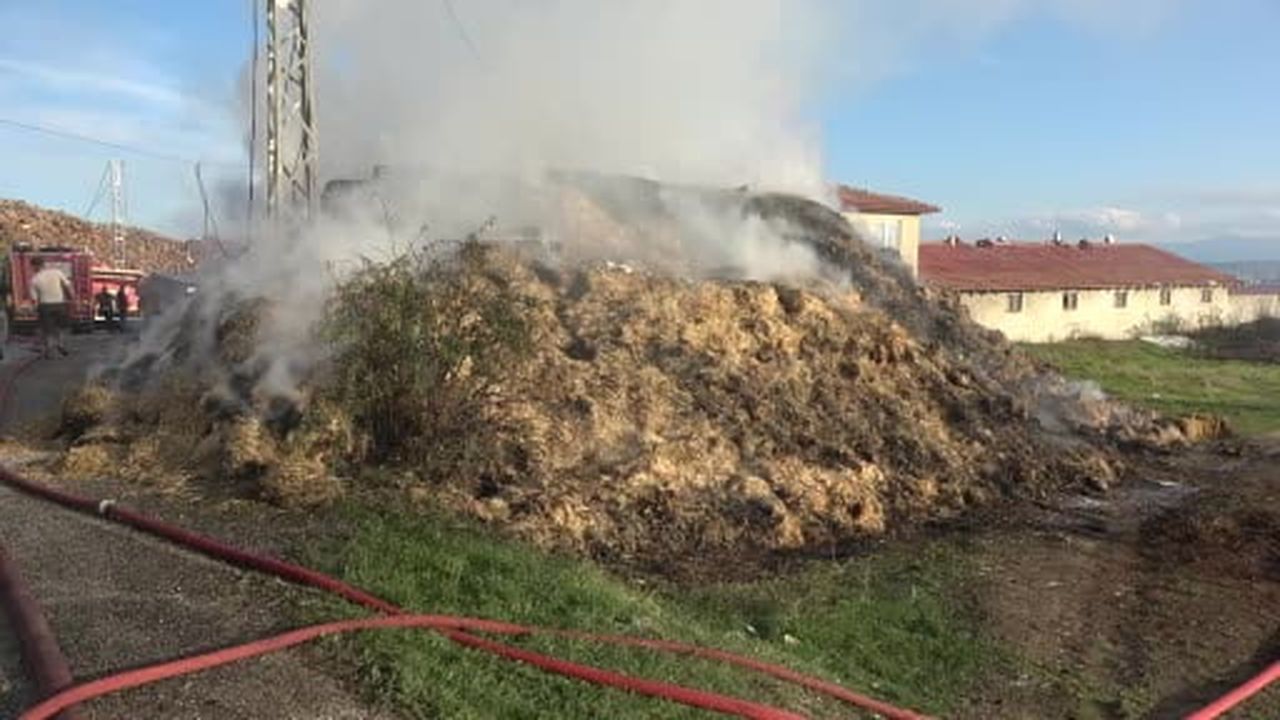 Kastamonu'da çıkan yangında 8 bin balya saman küle döndü