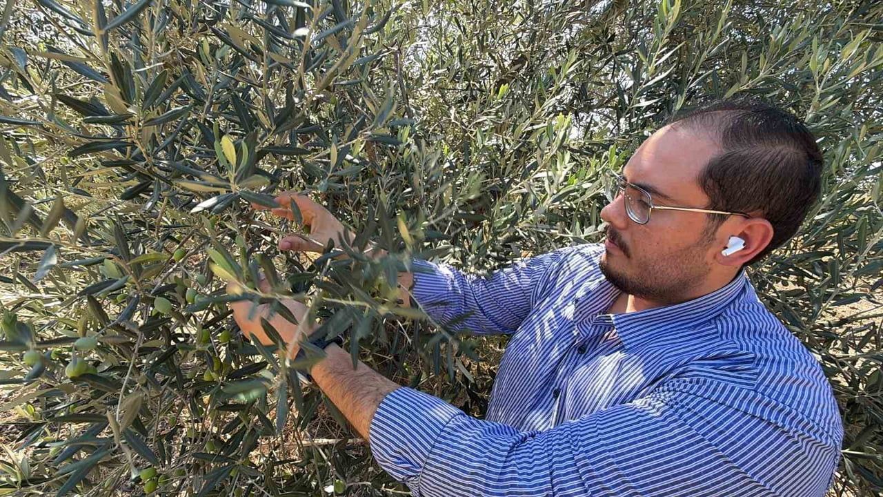AYVALIK TİCARET ODASI GENÇ GİRİŞİMCİLER KURULU BAŞKANI, ZEYTİN VE ZEYTİNYAĞI ÜRETİCİSİ MUSTAFA...