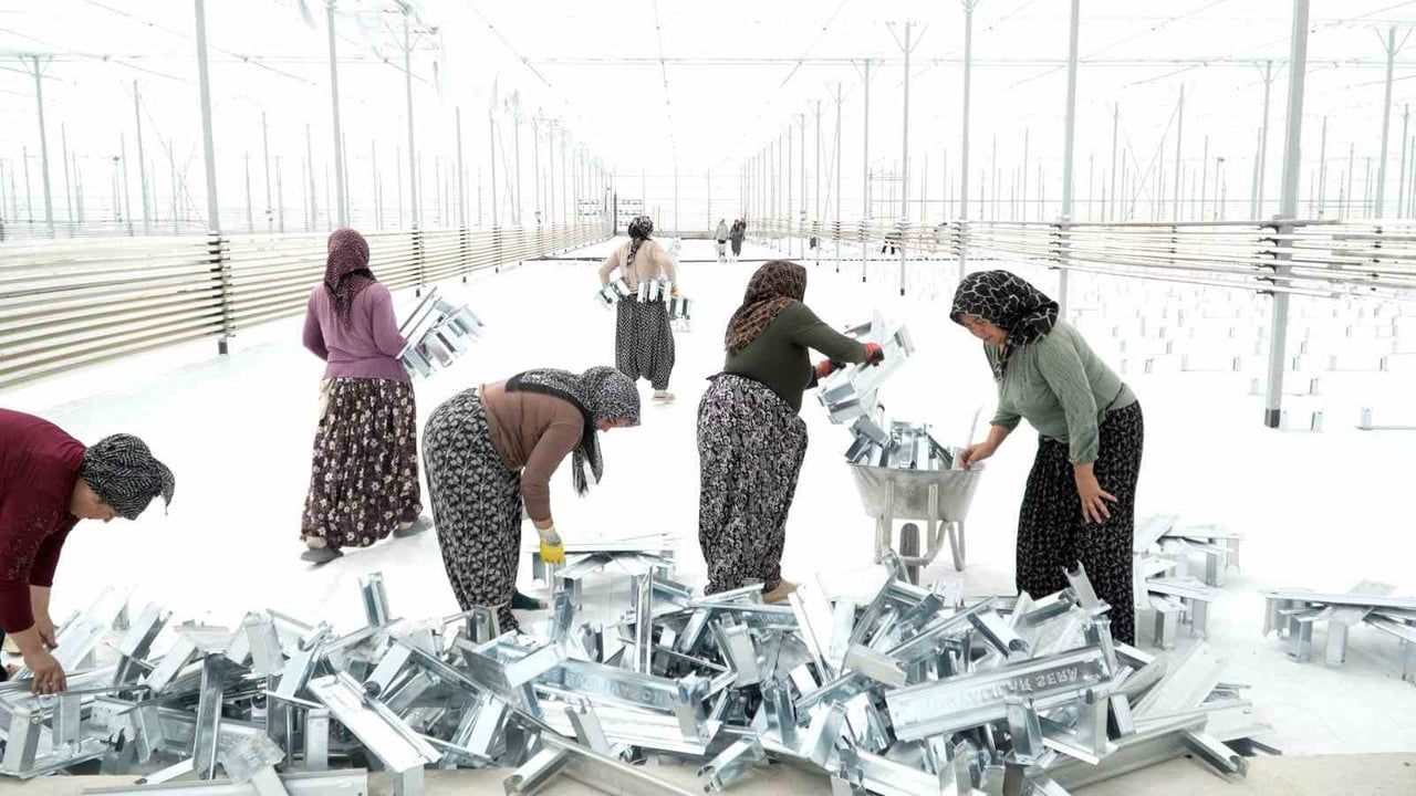 AFYONKARAHİSAR'DA KADINLAR BİRKAÇ AY SONRA ÇALIŞMAYA BAŞLAYACAKLARI VE TOPRAKSIZ TARIMIN...