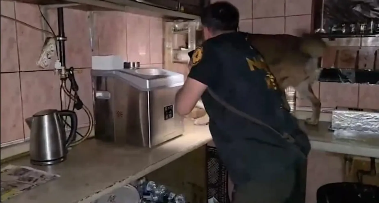 BİTLİS VE TATVAN CUMHURİYET BAŞSAVCILIKLARI KOORDİNESİNDE, NARKOTİK SUÇLARLA MÜCADELE VE...