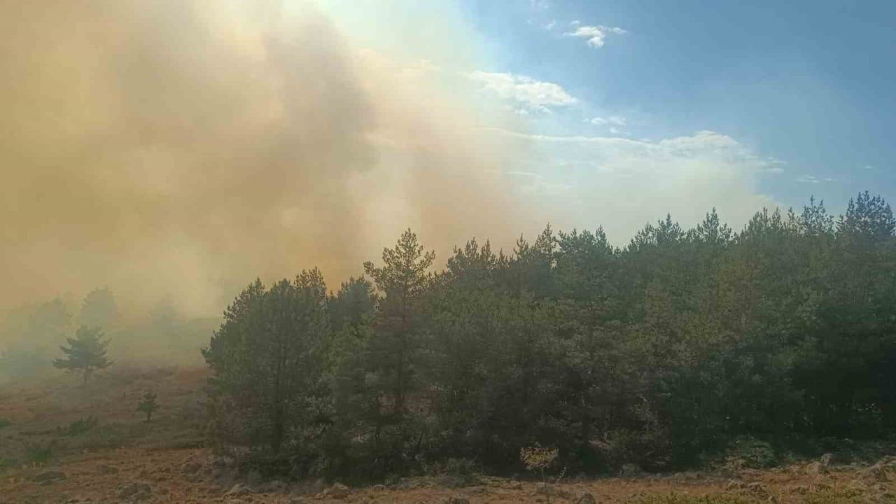 BOLU'NUN GEREDE İLÇESİNDE OTLUK ALANDA BAŞLAYAN VE ORMANLIK ALANA SIÇRAYAN YANGINA HAVADAN VE...
