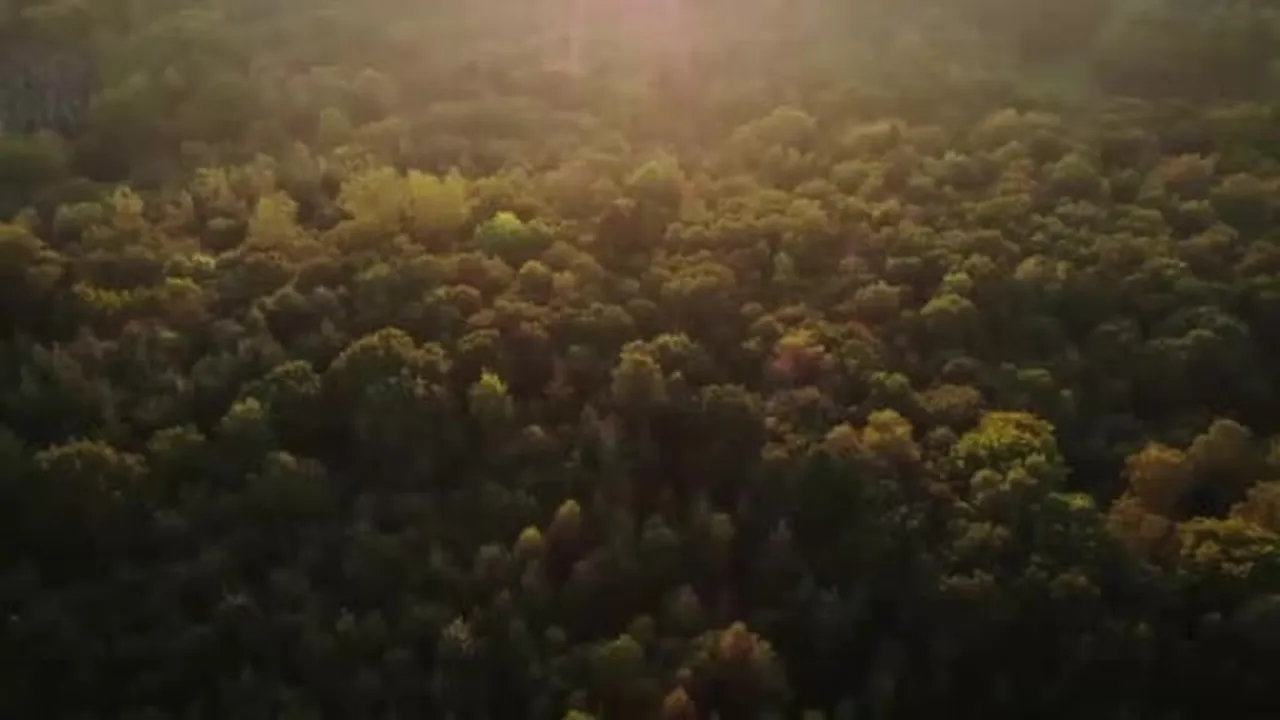 RTÜK Başkanı Daniş'ten COP31 kamu spotu çağrısı
