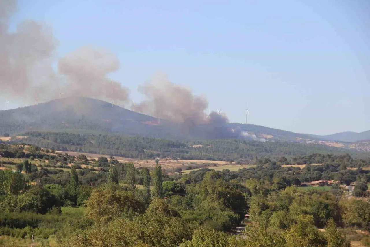 ÇANAKKALE’NİN BAYRAMİÇ İLÇESİNDE ÇOKTAN ORMAN YANGININA HAVADAN VE KARADAN MÜDAHALE...