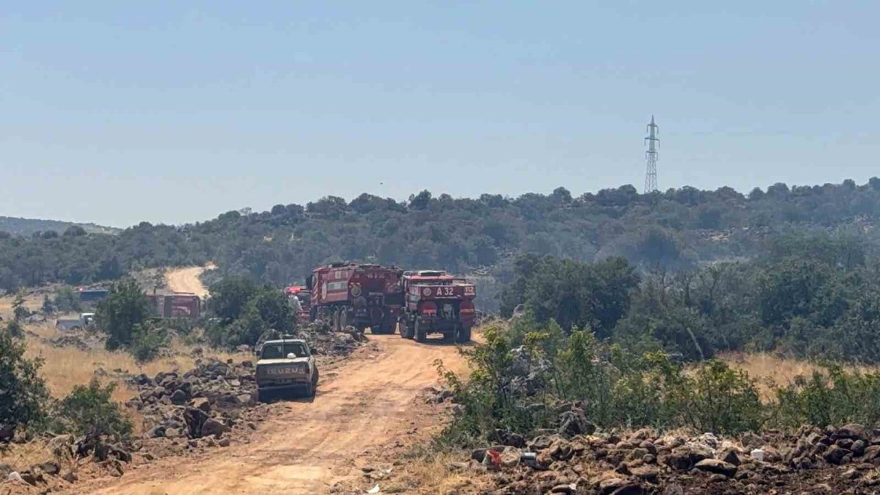 GAZİANTEP'İN ŞEHİTKAMİL İLÇESİ KIRSALINDA ÇIKAN ORMAN YANGININA EKİPLERİN MÜDAHALESİ...