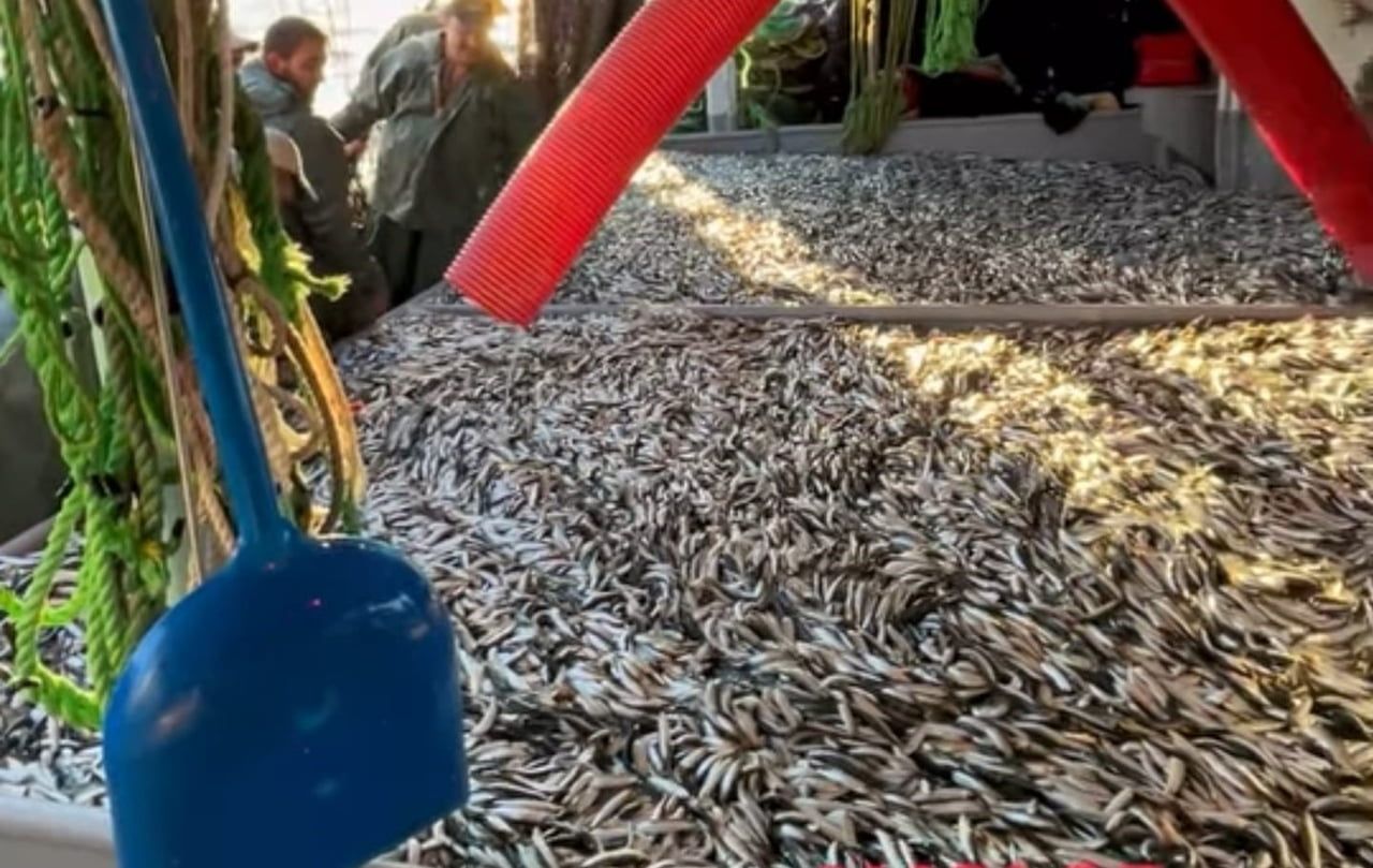 ÇANAKKALE BOĞAZI’NDA 1 EYLÜL İTİBARİYLE BAŞLAYAN AV SEZONUYLA BİRLİKTE ’VİRA BİSMİLLAH’ DİYEREK...