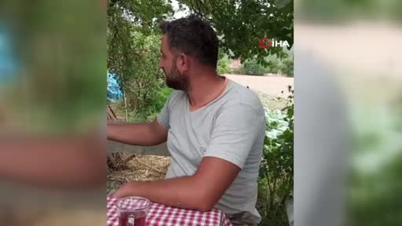 Perişan ismini verdiği saksağanı omuzundan indirmiyor