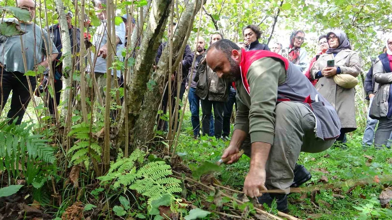 GİRESUN'DA FINDIKTA VERİM VE KALİTEYİ ARTIRMAK AMACIYLA BAHÇEDE UYGULAMALI BUDAMA EĞİTİMİ...