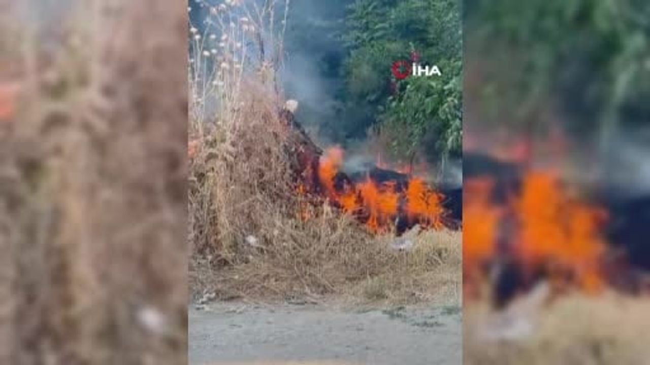 Bolu’da korkutan ot yangını: İtfaiyeyi beklemeden kova ve hortumlarla söndürdüler