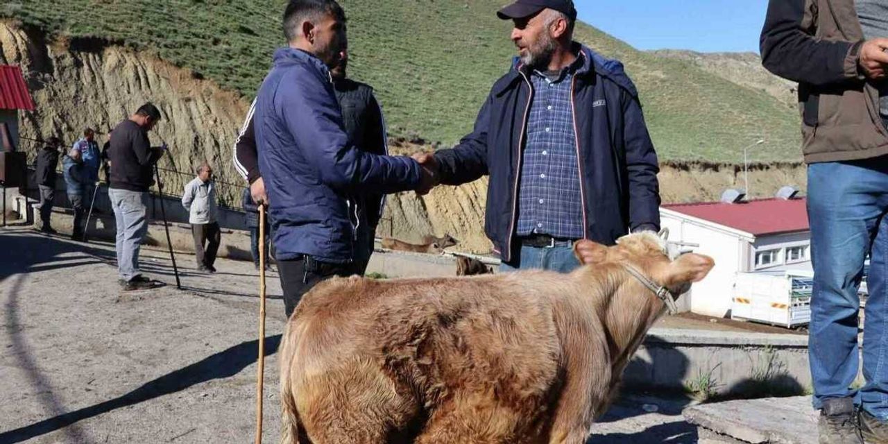 2022 Balıkesir Kurbanlık Fiyatları