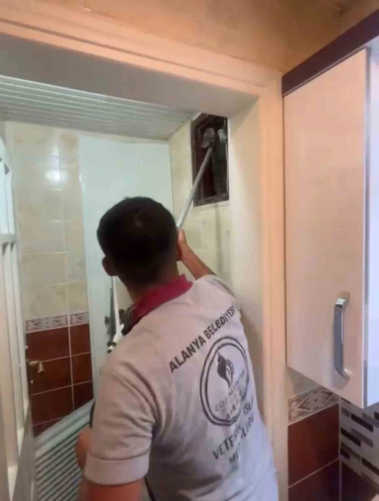 APARTMANIN HAVALANDIRMA BOŞLUĞUNA DÜŞEN SOKAK KEDİSİ, ALANYA BELEDİYESİ VETERİNER İŞLERİ MÜDÜRLÜĞÜ...